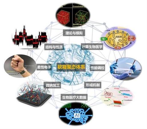 领域,通过研究软物质的结构与性能,解决新能源,生物医药,信息技术等